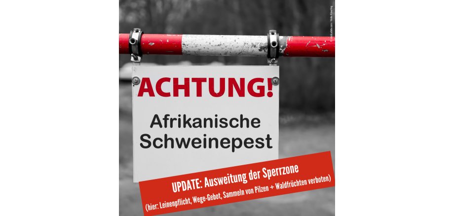 Afrikanische Schweinepest_Hinweise zur aktuellen Lage