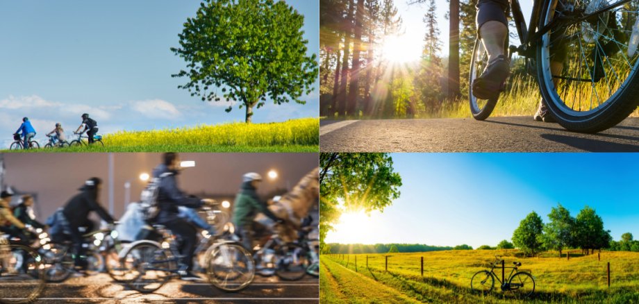 Eine Collage aus vier Radfahr-Bildern in sonnigen Landschaften auf Grünflächen.