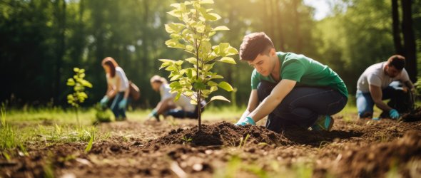 A group planting tree dirt